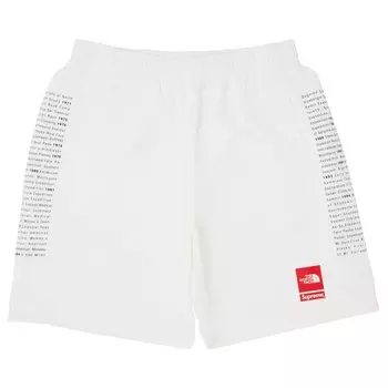 Шорты Supreme x The North Face Nylon Short, белый
