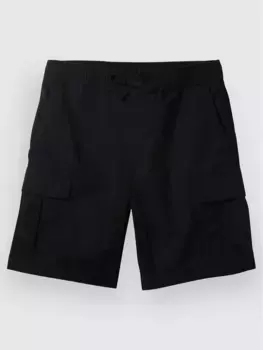 Шорты Taxer Quiksilver, черный
