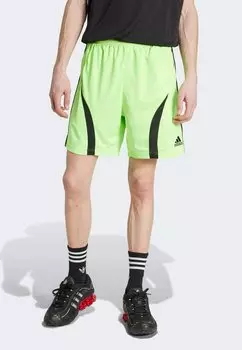 Шорты TEAMGEIST SHO - Tracksuit bottoms Adidas Originals, мятный