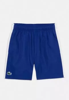 Шорты TENNIS PERFORMANCE DIAMOND Lacoste, синий