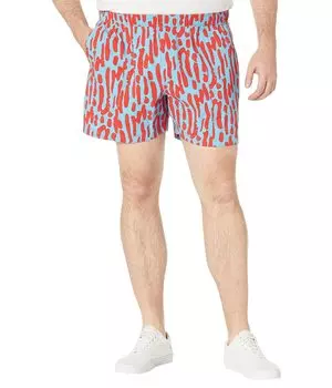 Шорты The North Face, Printed Class V 5" Pull-On Shorts