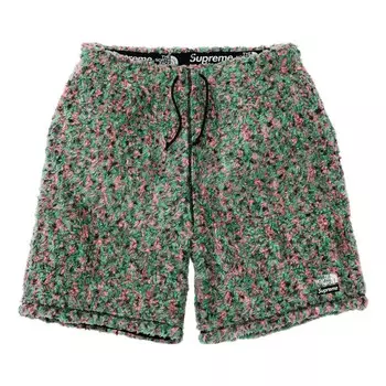 Шорты x the north face high pile fleece short 'multi-color' Supreme, мультиколор