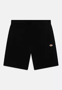 Шорты YOUTH MAPLETON UNISEX Dickies, цвет black