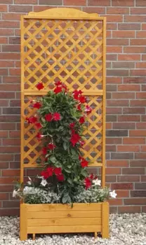 Шпалера Promadino "Romantica", с ящиком для растений, ШxГxВ: 80x38x210 см 80х210х38 см, цвет honigbraun