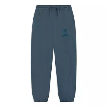 Штаны с вышитым логотипом, спортивные штаны Li-Ning, синий