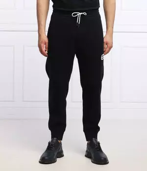 Штаны спортивные Emporio Armani Regular Fit, синий / белый