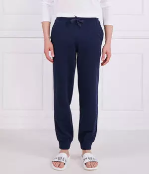 Штаны спортивные Emporio Armani Regular Fit, синий