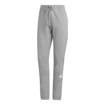 Штаны спортивные штаны Adidas, серый