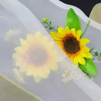 Шторы Joyswahl, бежевый