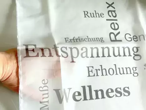 Шторы Schmidt Gard