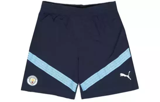 Швейцария Главная Спортивные шорты Мужские Темно-синие Puma, темно-синий