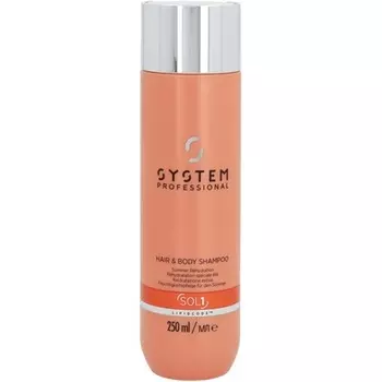 Система Профессионал, System Professional