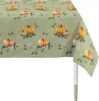 Скатерть АПЕЛЬТ "5454", (1 шт.) APELT 150х250 см, цвет orange