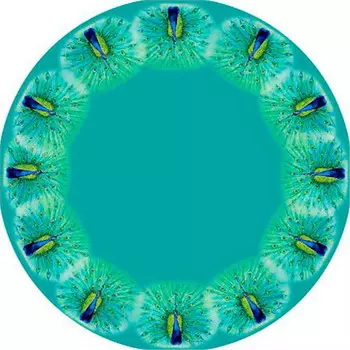 Скатерть для круглых столов с принтом в виде павлина Betsy Drake, бирюзовый