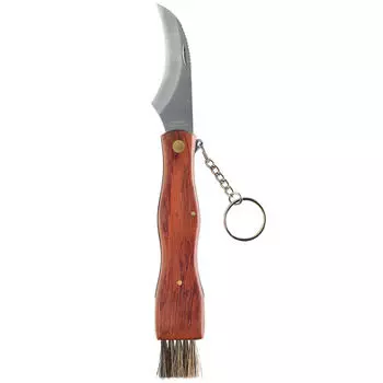 Складной нож для грибов 7 см нерж. Pradel