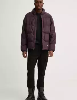 СКОБИ куртка Dickies, фиолетовый