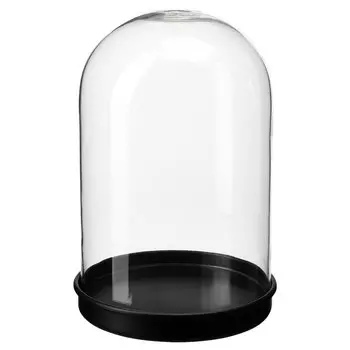 SKÖNJA СКЁНЬЯ Стеклянный клош на подставке, прозрачное стекло/черный, 21 см IKEA