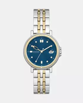 SKW3137 двухцветные женские часы из стали Skagen, мультиколор