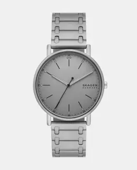SKW6913 Серые стальные мужские часы Skagen, серый