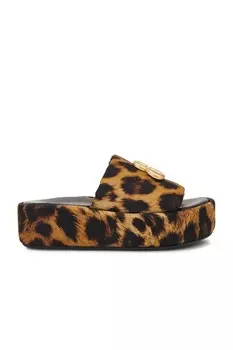 Слайды женские BB Rise Slide Balenciaga, цвет Leopard & Oro
