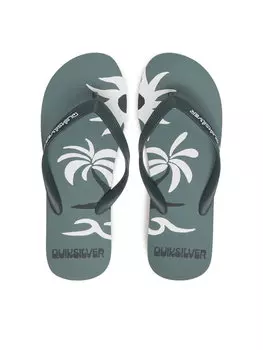 Сланцы Molokai Screen AQYL101427 Quiksilver, зеленый