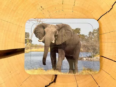 Слон, деревянный пазл с четырьмя элементами, основа с подписью, первый пазл Inna marka