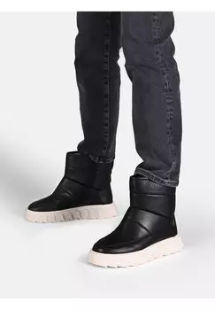 Снегоступы Apple of Eden, Шварц