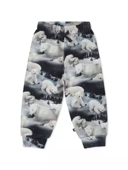Снежные медведи спортивные штаны Molo, синий