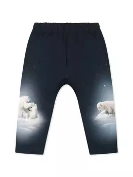 Снежные медведи спортивные штаны Molo, синий