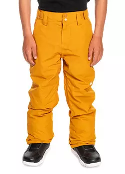 Сноубордические брюки для мальчиков estate yth pt b Quiksilver