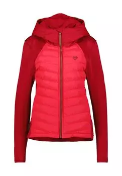 СоленАК Гибрид ALIFE AND KICKIN, цвет Cranberry