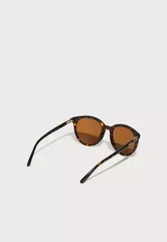 Солнцезащитные очки BIG BEND Michael Kors, темно-коричневый