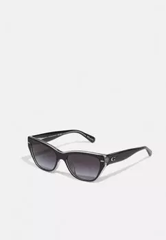 Солнцезащитные очки Coach, черный/прозрачно-серый