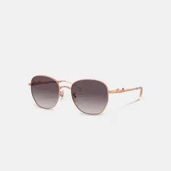 Солнцезащитные очки Coach Coach Script Round Sunglasses, цвет Rose Gold/Black