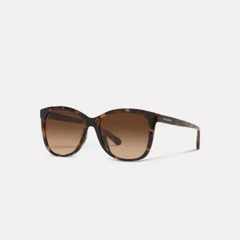 Солнцезащитные очки COACH Geometric Square, цвет Dark Tortoise