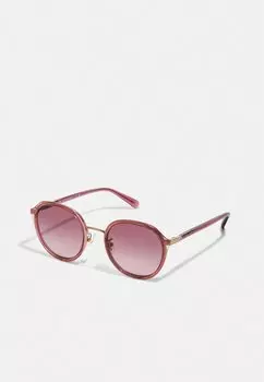 Солнцезащитные очки Coach, прозрачные/ягодные