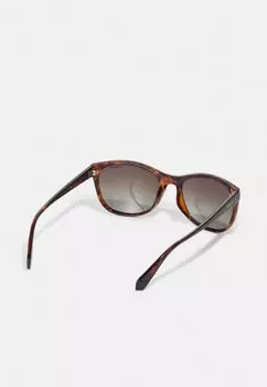 Солнцезащитные очки Polaroid, коричневый