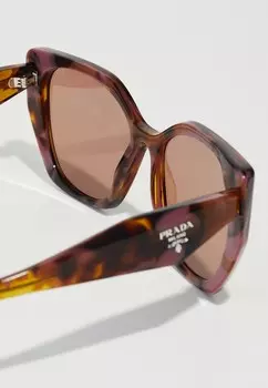 Солнцезащитные очки Prada, totroise коньячная бегония/светло-коричневые