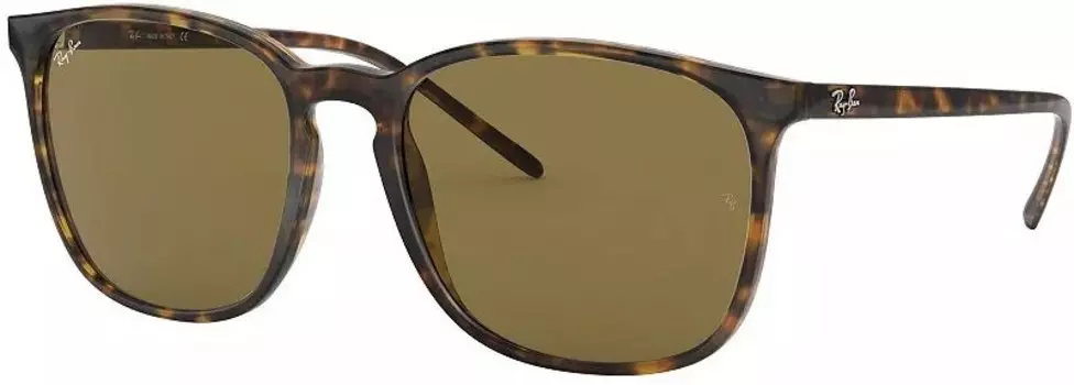 Солнцезащитные очки Ray-Ban 4387