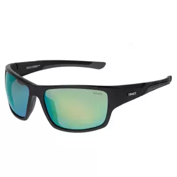 Солнцезащитные очки Sinner Lemmon, черный