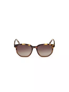 Солнцезащитные очки TIMBERLAND Sunglasses, коричневый