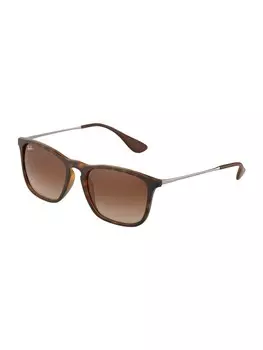 Солнечные очки Ray-Ban 0RB4187, коричневый/светло-коричневый