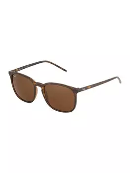 Солнечные очки Ray-Ban 0RB4387, коричневый/каштановый/светло-коричневый