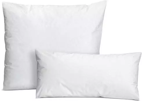 Спальное место - Комплект из 2 наволочек Comfort 100 Evolon, обволакивающие подушки, чехол от клещей, защита от клещей, подходит для людей с аллергией на домашнюю пыль, 50 x 50 см, белый sleepling