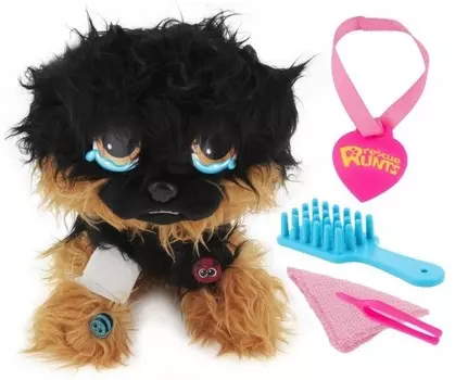 Спасательная служба арендовала немецкую овчарку на усыновление талисмана Inna marka