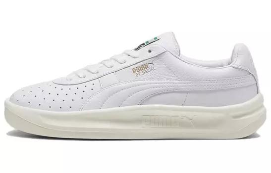 Специальная обувь для скейтбординга Puma GV унисекс, Black/White