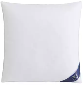 SPESSARTTRAUM 3-камерная подушка "Премиум", наполнитель: 100 % гусиный пух, класс 1, сертифицирован Downpass (внешние камеры), чехол: 100 % хлопок, экологически чистый (зеленого цвета) 40х80 см, белый