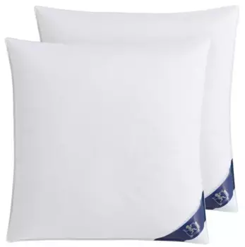 SPESSARTTRAUM перьевая подушка "ПЕРВЫЙ КЛАСС", наполнитель: 100% перо, чехол: 100% хлопок, (2 шт.), в наличии подушки разных размеров, в комплекте дешевле 40х80 см, белый