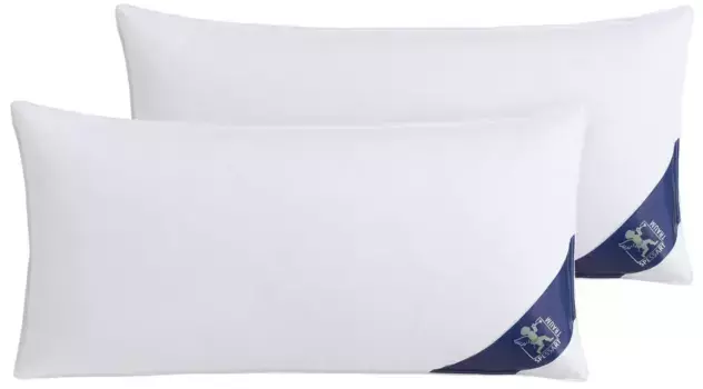 SPESSARTTRAUM подушка из гусиного пуха "Премиум", наполнитель: 90% гусиный пух, 10% гусиные перья, чехол: 100% хлопок, (2 шт.), производство Германия, гипоаллергенный, дешевле в комплекте 40х60 см, белый