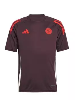 Спортивная футболка ADIDAS ORIGINALS Performance FC Bayern Tiro 24, цвет Red/Bordeaux